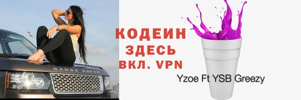 крисы Пестово