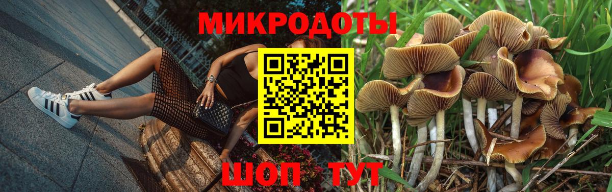 Псилоцибиновые грибы мухоморы  Вход с VPN  что такое   Сосновоборск 